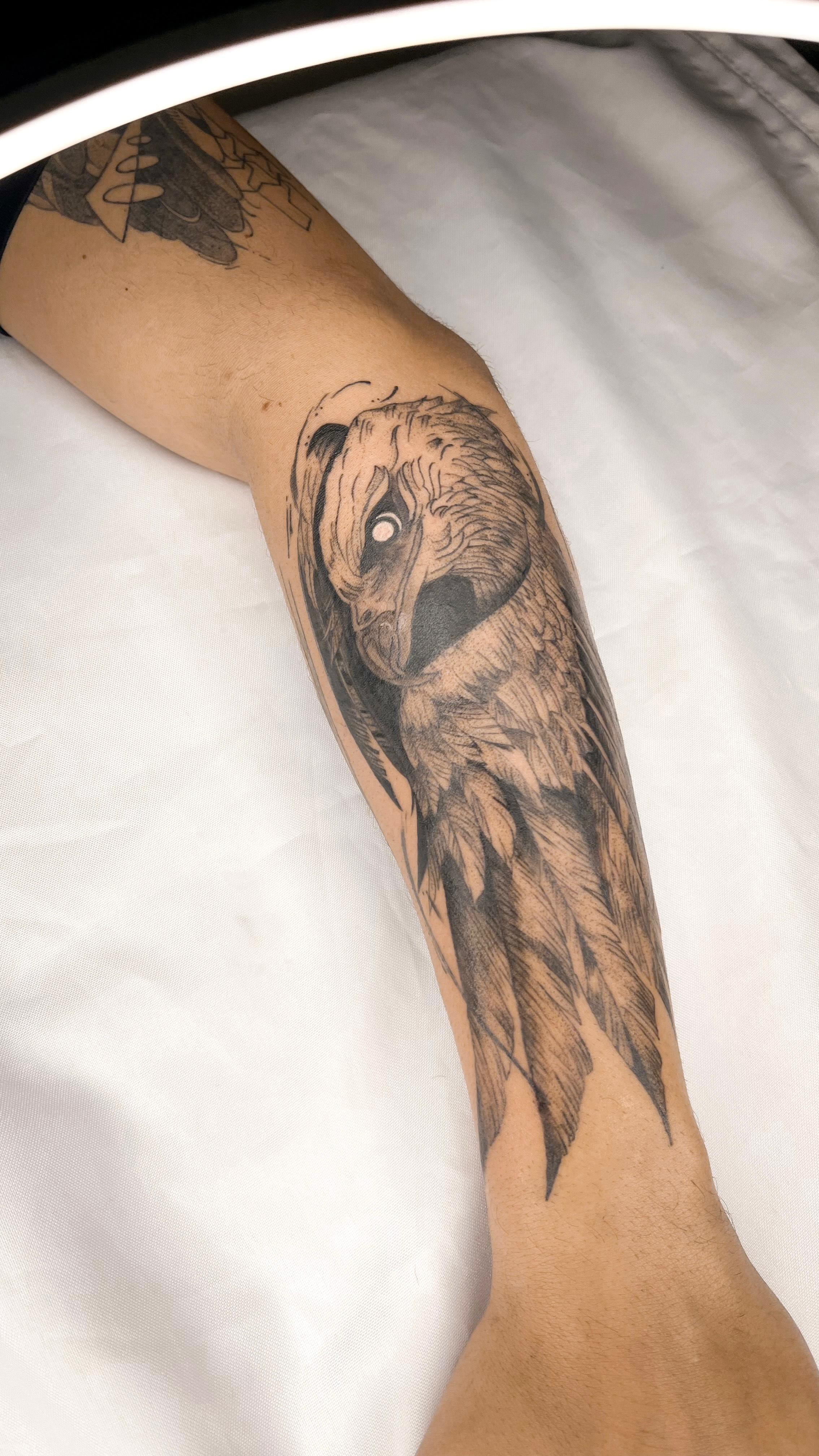 Tatuagem de águia em estilo blackwork